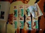 продаю коллекцию марок
